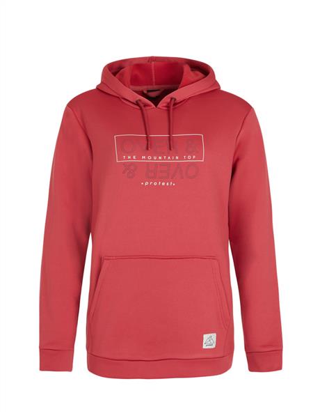 Protest Protest Twig